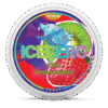 Iceberg Kiwi Strawberry 40mg nicotine pouches can