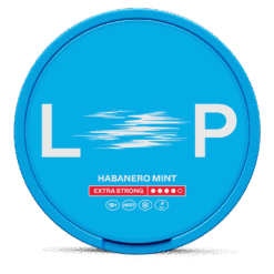LOOP Habanero Mint Extra Strong 12.5mg nicotine pouches can