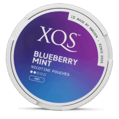 XQS Blueberry Mint 4mg nicotine pouches can