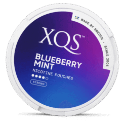 XQS Blueberry Mint Strong 8mg nicotine pouches can