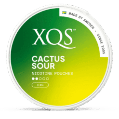 XQS Cactus Sour 4mg nicotine pouches can