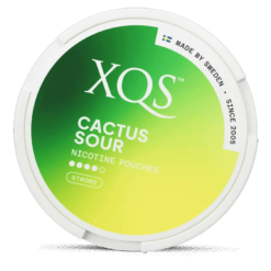 XQS Cactus Sour Strong 8mg nicotine pouches can