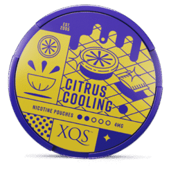 XQS Citrus Cooling 4mg nicotine pouches can