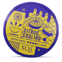 XQS Citrus Cooling Strong 8mg nicotine pouches can