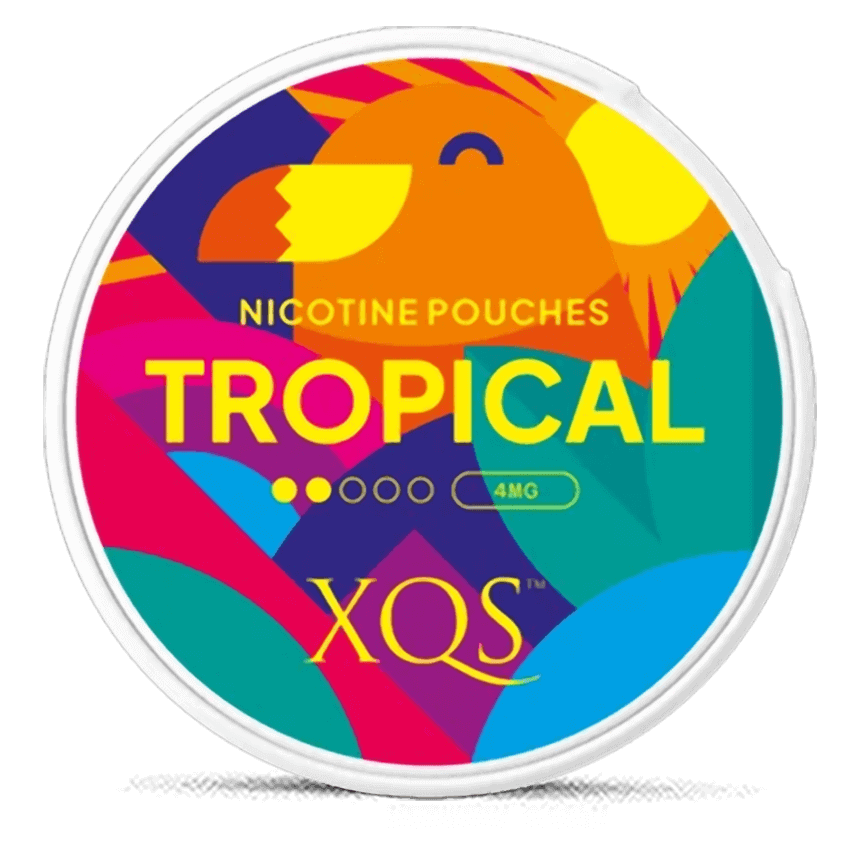 XQS Tropical 4mg nicotine pouches can