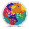 XQS Tropical Strong 8mg nicotine pouches can