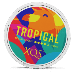 XQS Tropical Strong 8mg nicotine pouches can